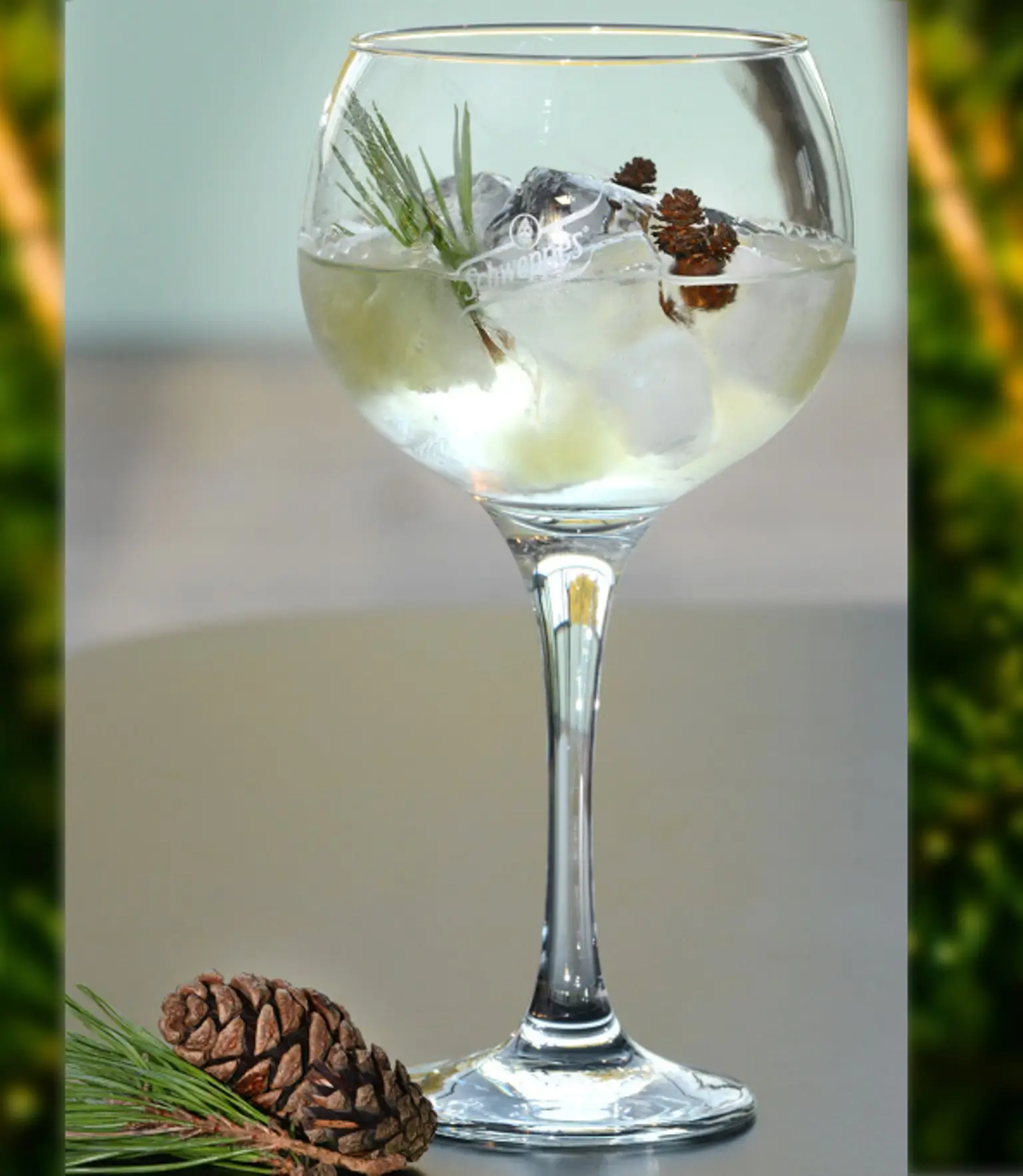 Recette Gin Tonic de Noël