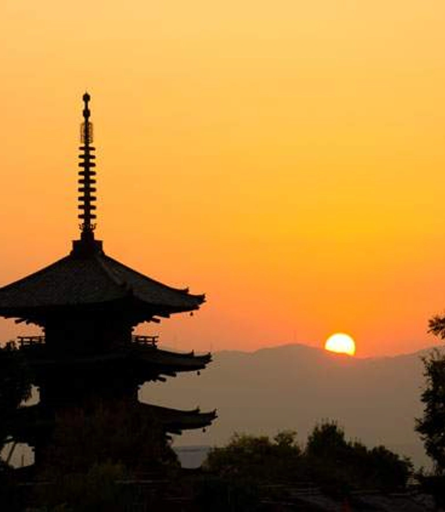 Les apéritifs japonais à faire à la maison