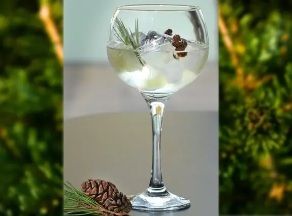 Recette Gin Tonic de Noël