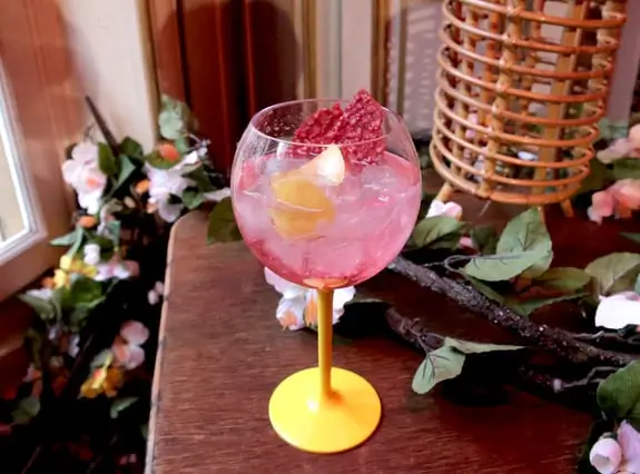 Recette Gin Tonic Hibiscus