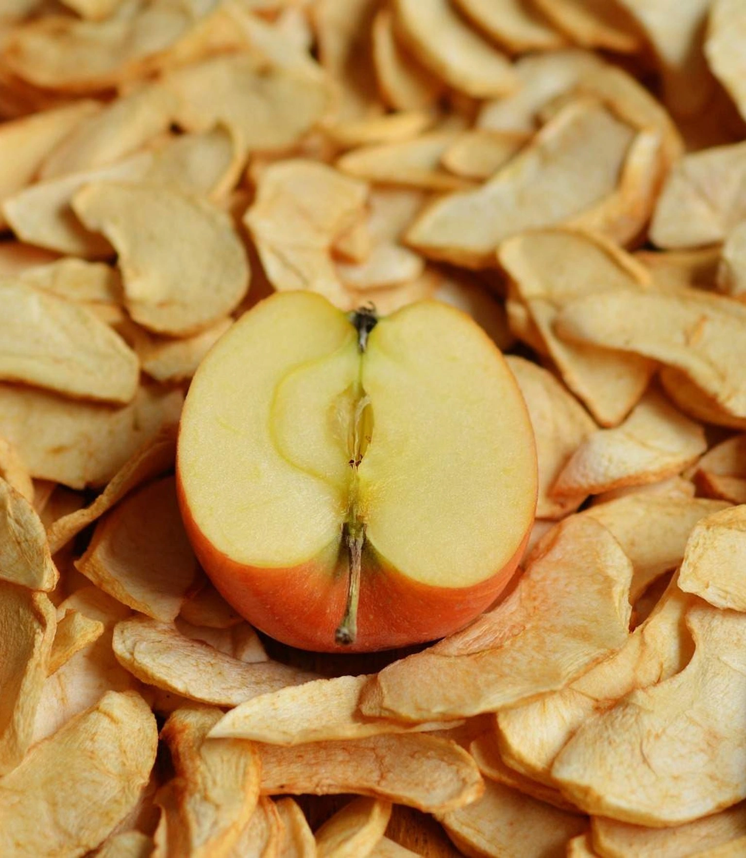 Astuce cocktail : Déshydrater des fruits